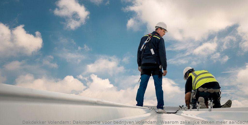 Dakinspectie Voor Bedrijven Volendam