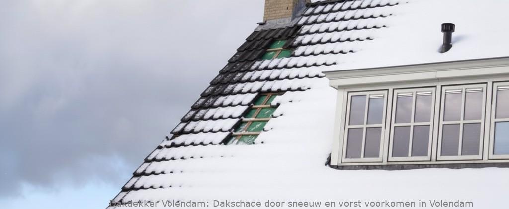 Schade Door Sneeuw En Vorst Volendam