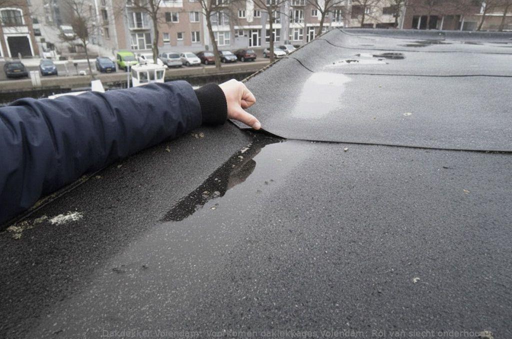 Voorkomen Daklekkages Volendam 1
